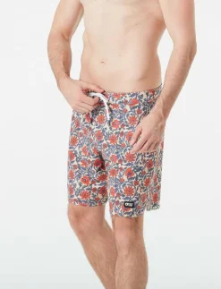 PICTURE ORGANIC CLOTHING ANDY HERITAGE P 17 BRDS - Badbyxor| Badshorts|Badkläder