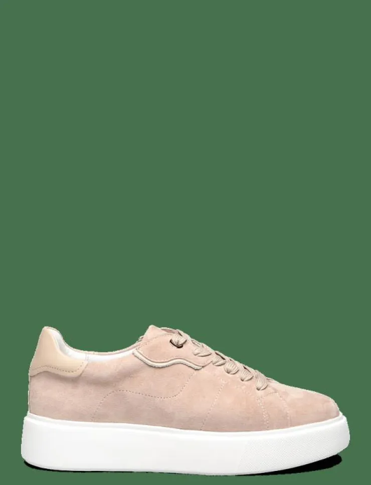 Kvinnor Dasia Sneakers|Ardisia - Låga sneakers