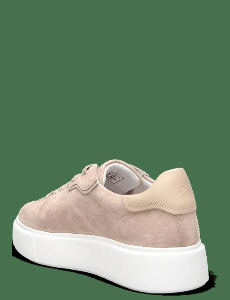 Kvinnor Dasia Sneakers|Ardisia - Låga sneakers