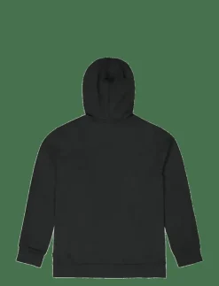 PICTURE ORGANIC CLOTHING BASEMENT HOODIE - Huvtröjor| Sweatshirts