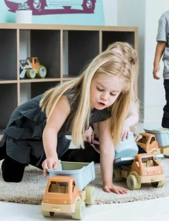 Dantoy BIO TRUCK IN GIFT BOX - Lastbilar|Barn Leksaksfordon & Bilar