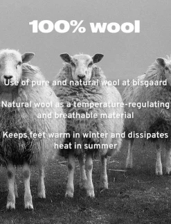 Bisgaard casual wool - Inneskor|Barn Inneskor