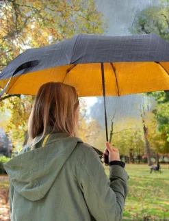 Suck UK & Gold Umbrella - Paraplyer|Kvinnor Paraplyer|Paraplyer
