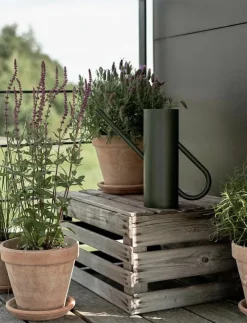 Stelton Vattenkannor|Bloom vattenkanna 2 l. - Vattenkannor