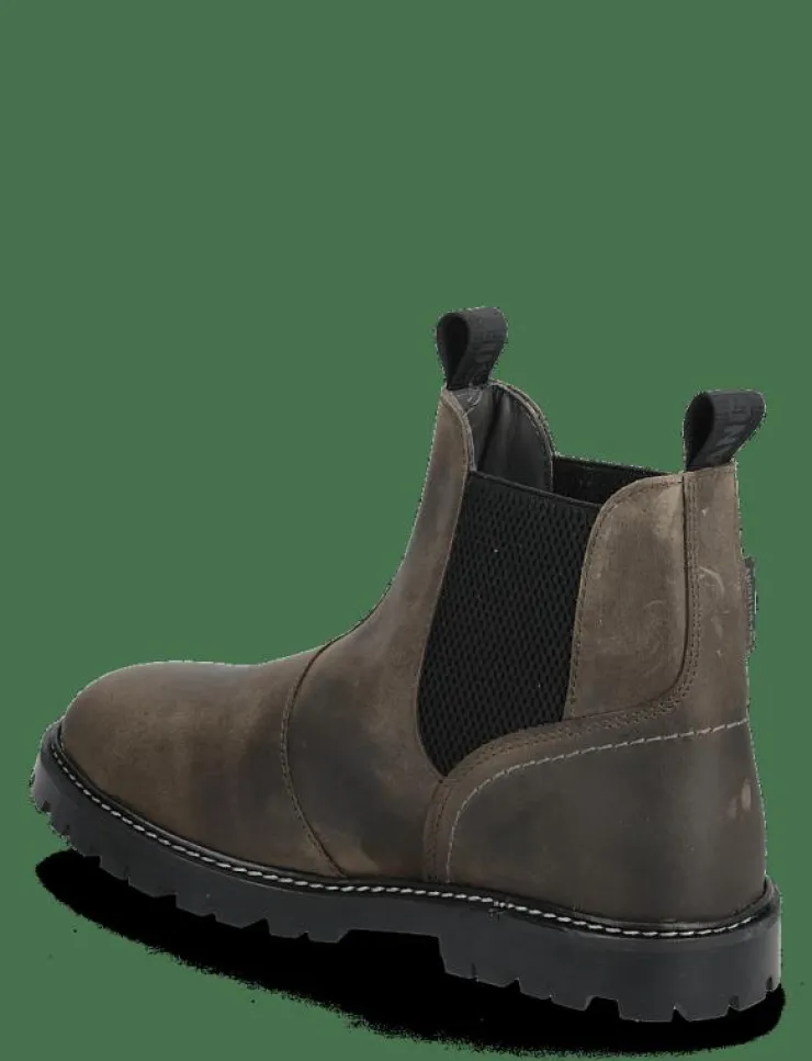 Barn ANGULUS Stövlar & Kängor|Booties - flat - with elastic - Stövlar & Kängor