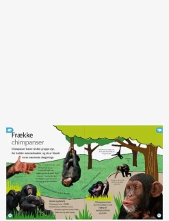 Barn GLOBE Barnböcker|Dyreleksikon for de yngste - Pedagogisk barnbok