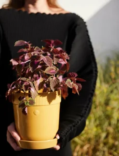 Sagaform Elise Pot - Krukor| Krukor