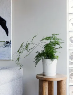 Sagaform Elise Pot - Krukor| Krukor