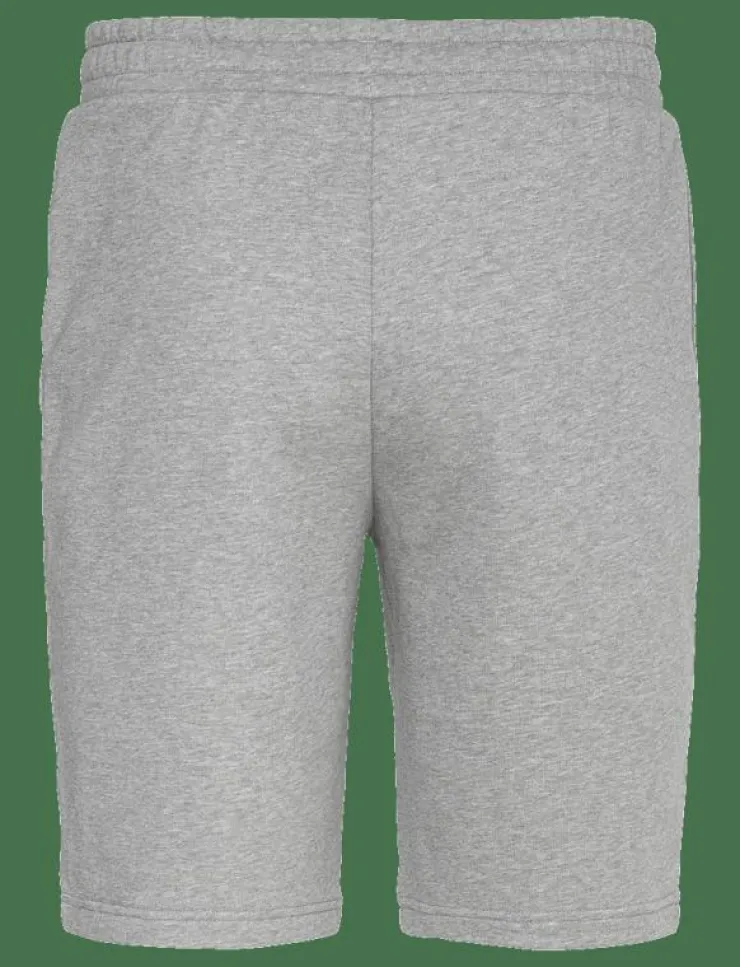 Kvinnor PUMA Shorts|Shorts|ESS No. 1 Logo Shorts 10" - Casual shorts