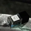Kvinnor Bohoboco Doft|ETERNAL LILY • AMBER - Eau de parfum