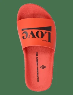 THE ANIMALS OBSERVATORY FLIP-FLOOPS KID SHOES - Inneskor|Barn Inneskor