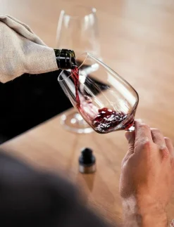 Zwilling Fresh & Save, Vakuum vinförslutar set Grå - Vinöppnare & Korkskruvar| Drink & Bartillbehör