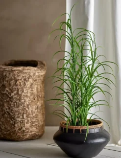 Bloomingville Grass Artificial Plant - Torkade blommor| Torkade Blommor