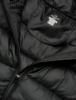 Barn Champion Ytterkläder|Hooded Jacket - Dunjackor & fodrade jackor