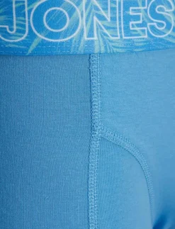 Jack & Jones Kalsonger|JACCANVEY TRUNKS 10 PACK LN - Boxershorts