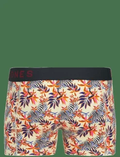 Jack & Jones Kalsonger|JACLANDON TRUNKS 10 PACK - Boxershorts