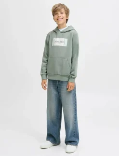 Barn Jack & Jones Överdelar|JJHAYATO SWEAT HOOD JNR - Huvtröjor