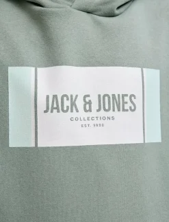 Barn Jack & Jones Överdelar|JJHAYATO SWEAT HOOD JNR - Huvtröjor