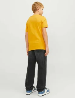 Barn Jack & Jones Basplagg|JJICHRIS JJORIGINAL SQ 602 NOOS JNR - Regular jeans
