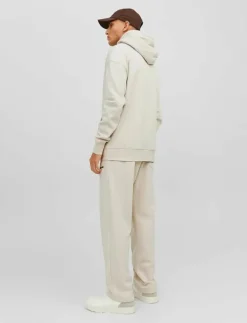 Jack & Jones Sweatshirts & Huvtröjor|JORVESTERBRO SWEAT ZIP HOOD NOOS - Hoodies