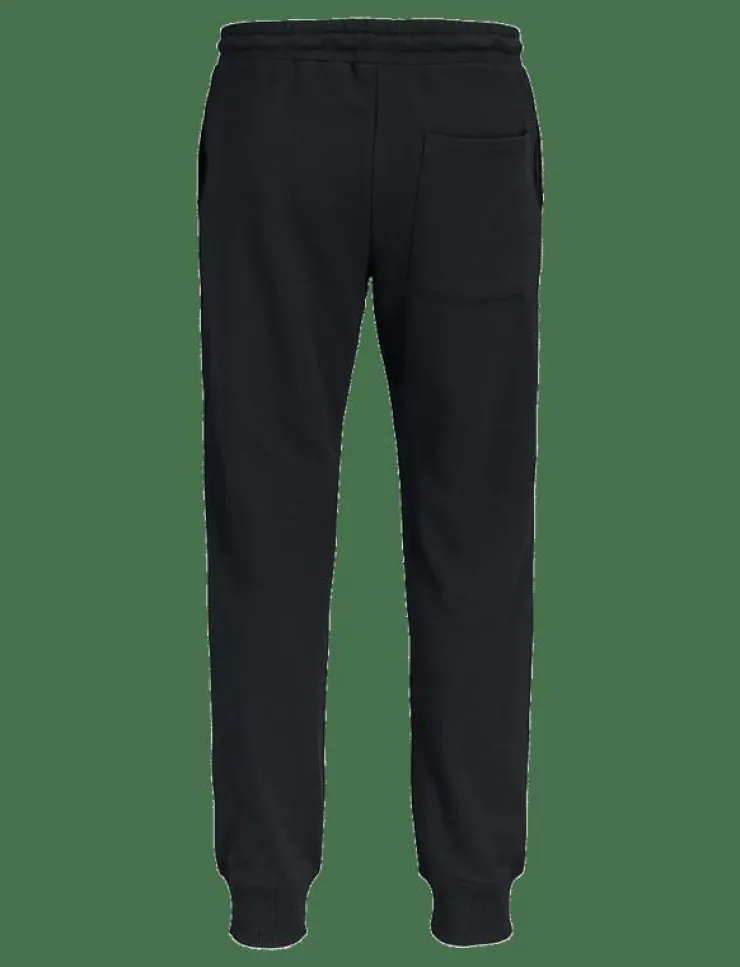 Jack & Jones Joggingbyxor|JPSTGORDON COLLEGE SWEAT PANTS - Joggingbyxor