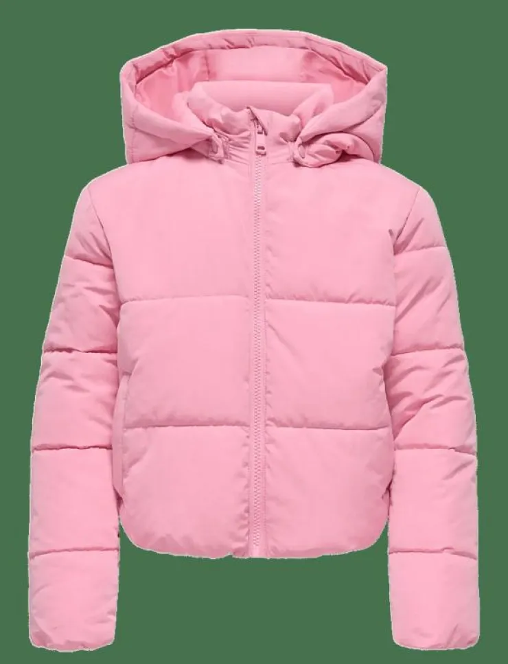 Barn Kids Only Jackor|KOGMALIA SHORT PUFFER JACKET OT OTW - Dunjackor & fodrade jackor