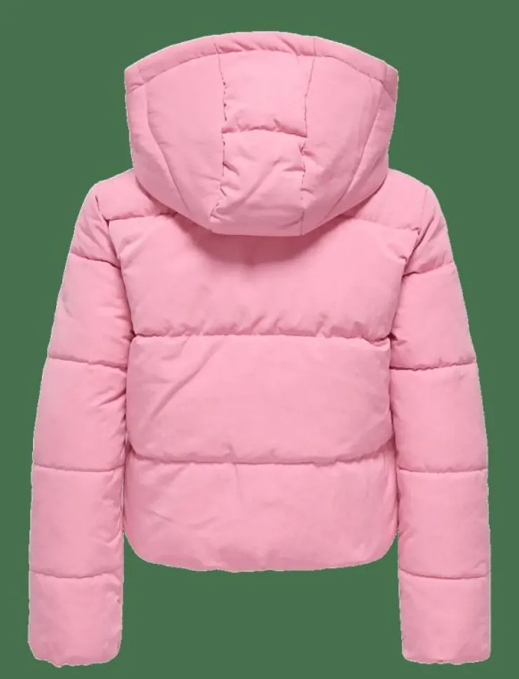 Barn Kids Only Jackor|KOGMALIA SHORT PUFFER JACKET OT OTW - Dunjackor & fodrade jackor