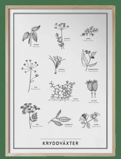 Kunskapstavlan® Kryddväxter - Natur| Posters & Ramar