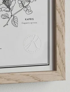 Kunskapstavlan® Kryddväxter - Natur| Posters & Ramar