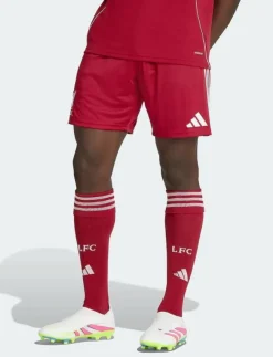 adidas Performance LFC H SHO - Träningsshorts| Shorts