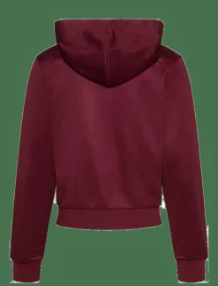 Kvinnor Calvin Klein Jeans Sweatshirts|LS HIGH SHINE FRENCH TERRY HOODI - Huvtröjor