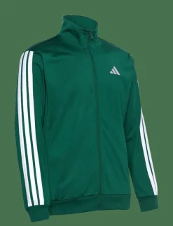 adidas Sportswear Sweatshirts & Huvtröjor|M 3S TR TT - Sweatshirts