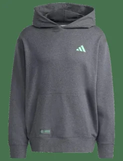 adidas Performance Sweatshirts|MER PS HOOD M - Huvtröjor