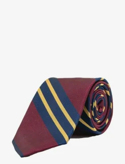 AN IVY Slipsar & Accessoarer|Miles Striped Silk Tie - Slipsar