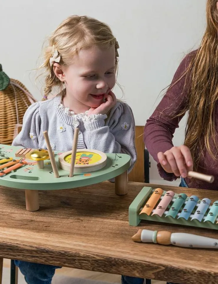 Dantoy MULTI MUSIC SET WOODEN IN GIFT BOX 5 PARTS - Musikinstrument|Barn Musikinstrument