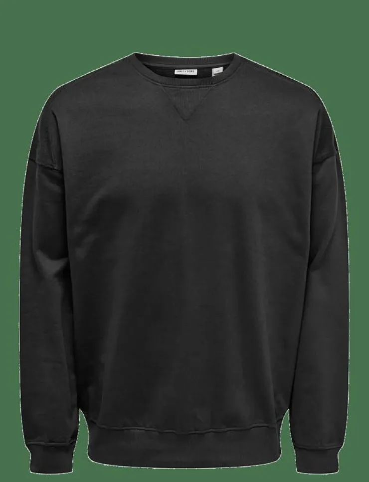 ONLY & SONS Sweatshirts & Huvtröjor|ONSEVANS VTG LS CREW TONAL BLOCK - Sweatshirts