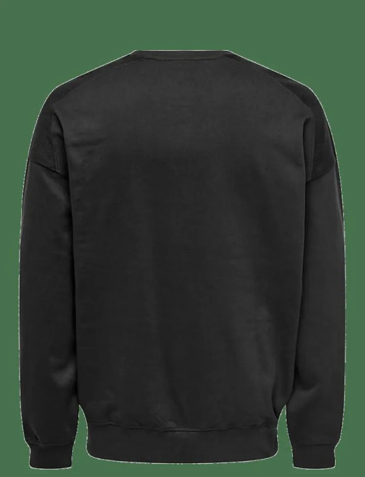 ONLY & SONS Sweatshirts & Huvtröjor|ONSEVANS VTG LS CREW TONAL BLOCK - Sweatshirts