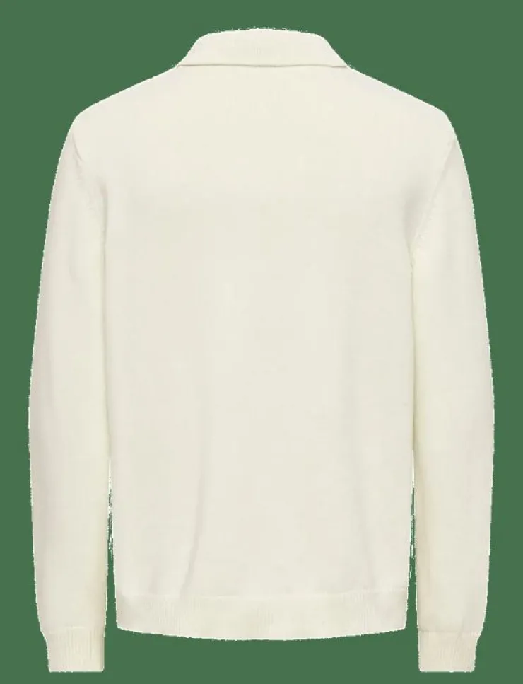 ONLY & SONS Stickat|ONSHOPE RLX LS POLO KNIT LIFE - Stickade pikéer
