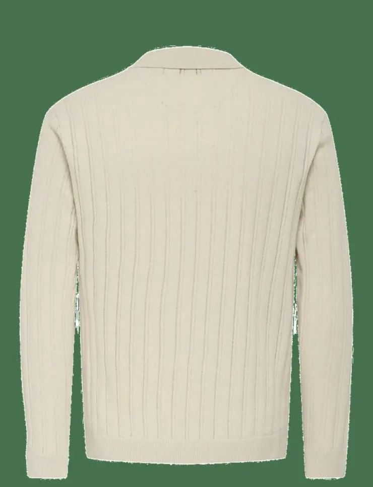ONLY & SONS Stickat|ONSKENT LIFE REG 12 LS POLO KNIT - Stickade pikéer