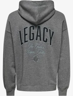 ONLY & SONS Sweatshirts & Huvtröjor|ONSLEGACY SWEAT ZIP VTG HOODIE - Hoodies