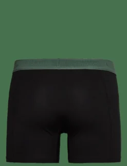 Björn Borg Underkläder|Kalsonger|ORGANIC COTTON STRETCH BOXER 2p - Boxershorts