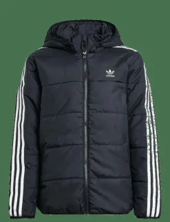 Barn adidas Originals Ytterkläder|PADDED JACKET - Dunjackor & fodrade jackor