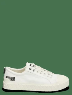 Palladium Sneakers|PALLA ACE LO SURPLUS - Låga sneakers