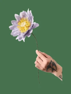 Studio About PAPER FLOWER - Torkade blommor| Torkade Blommor