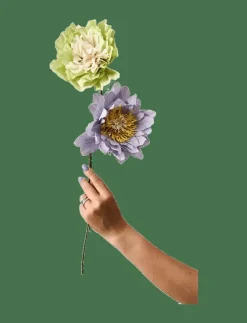 Studio About PAPER FLOWER - Torkade blommor| Torkade Blommor
