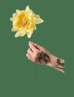 Studio About PAPER FLOWER - Torkade blommor| Torkade Blommor
