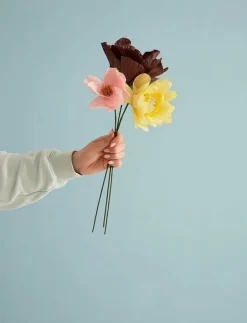 Studio About PAPER FLOWER - Torkade blommor| Torkade Blommor