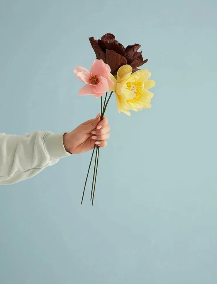 Studio About PAPER FLOWER - Torkade blommor| Torkade Blommor