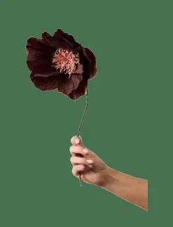 Studio About Torkade Blommor|PAPER FLOWER - Torkade blommor