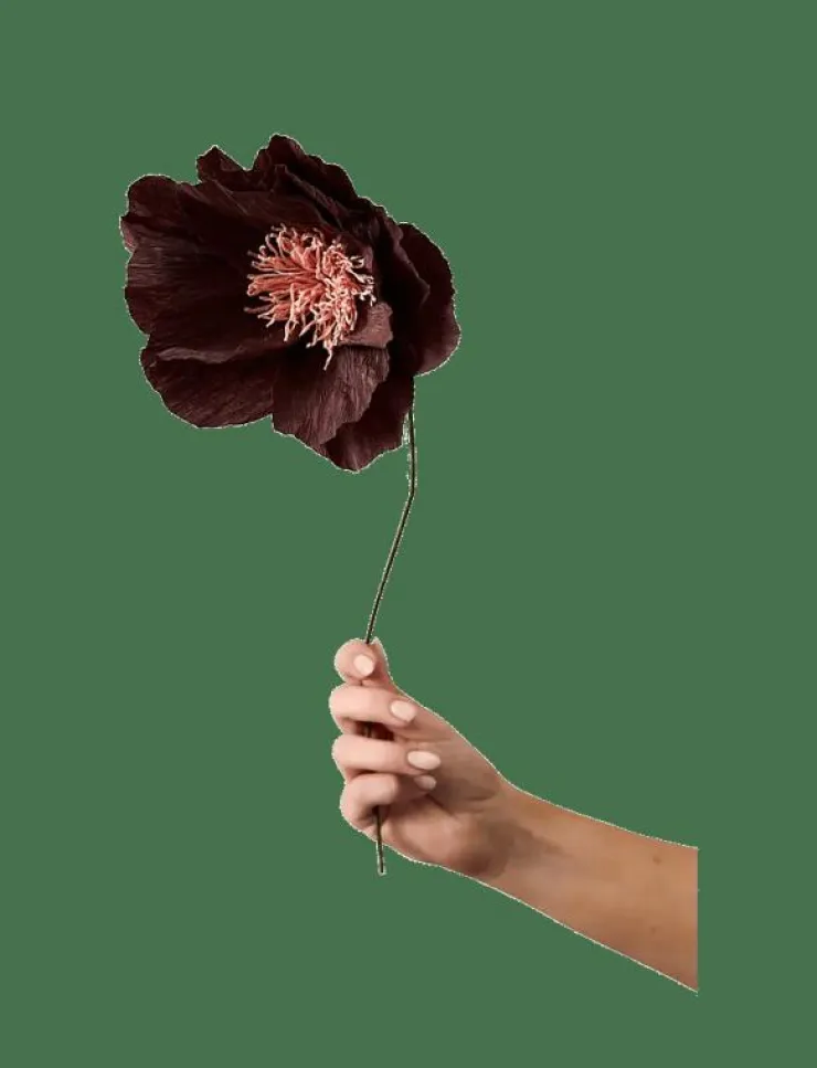 Studio About Torkade Blommor|PAPER FLOWER - Torkade blommor